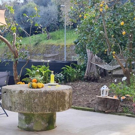 Rita Home B&B Sorrento Exteriör bild
