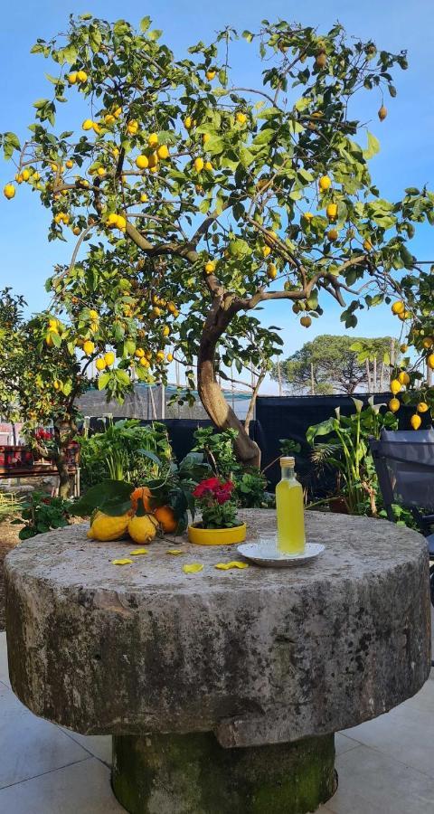 Rita Home B&B Sorrento Exteriör bild